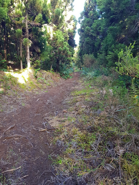 Sentier Ravine laforge