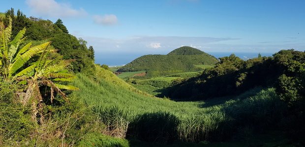 piton isautier piton de mont vert