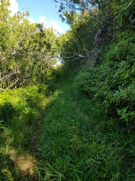 sentier ludique