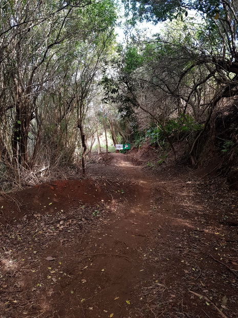 spot descente VTT Piton Calvaire le Plate