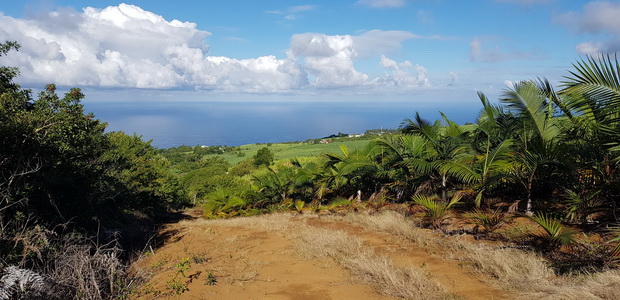 sentier ludique