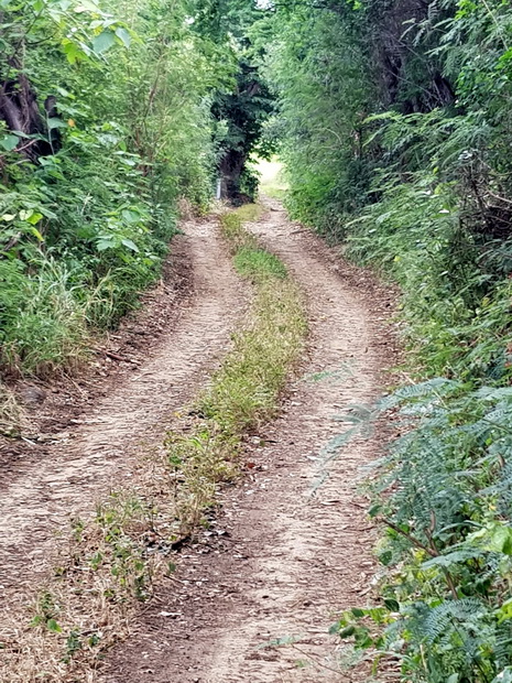 piste terre spot descente VTT