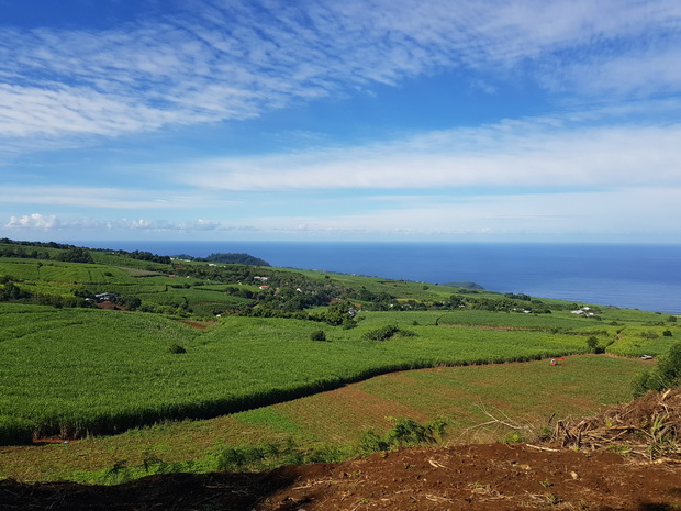 au pied du Piton Mont Vert