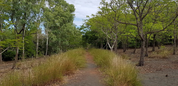 pistes cyclables forêt l'Étang-Salé les Bains