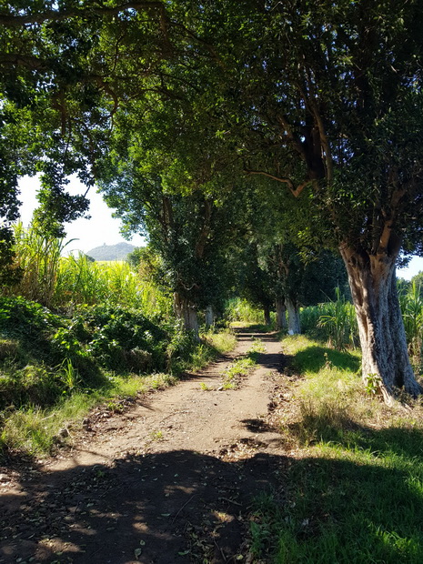 chemin Lancastel