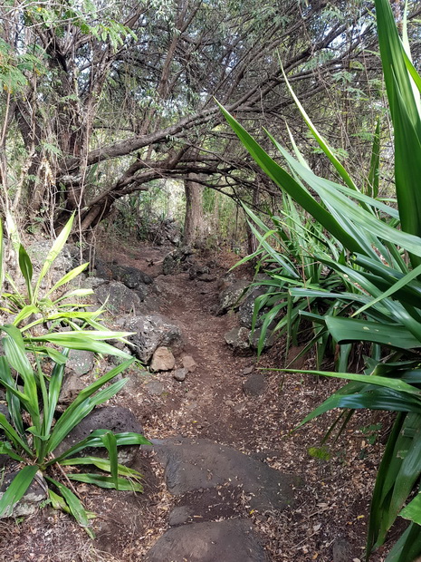 Sentier Pavé