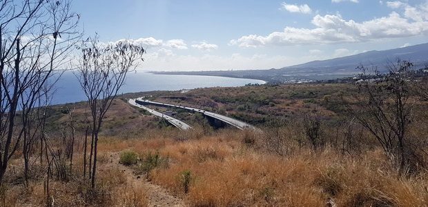 Route des Tamarins Baie de St Paul