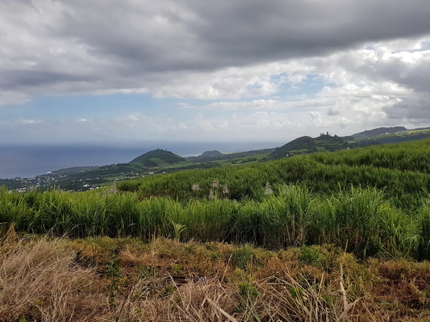 on quitte le sentier Jacques pour Piton Langevin Piton Papangue