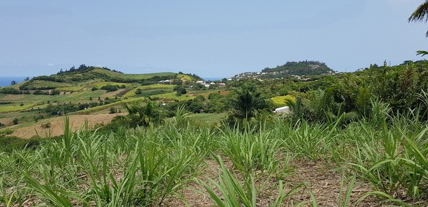 Piton Rosile Piton du Calvaire