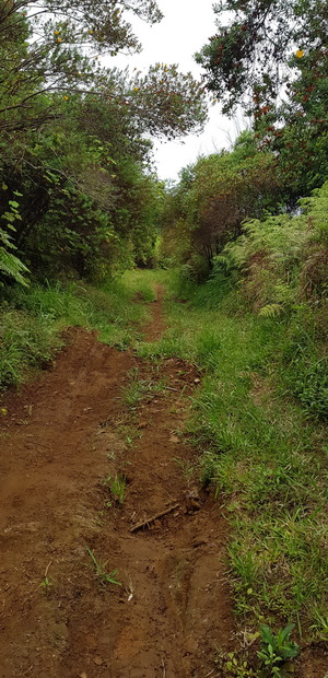 Forêt de Notre Dame de La Paix