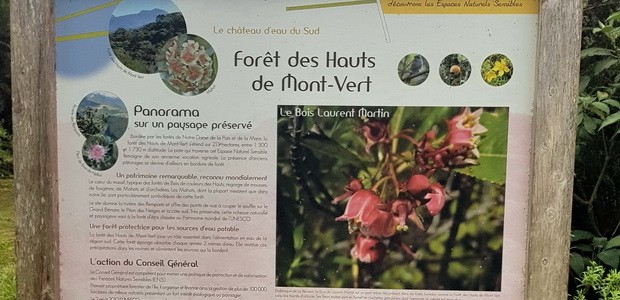 Forêt des Hauts de Mont Vert