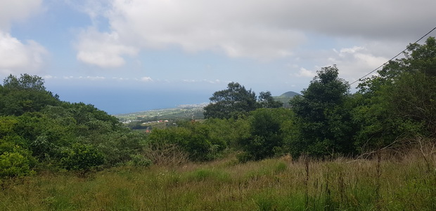 St Pierre et le Piton de Mont Vert