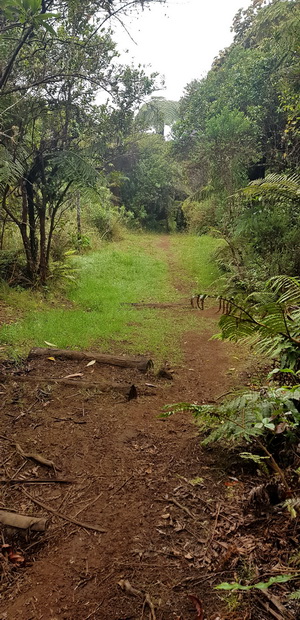 descente VTT