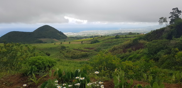 Piton de Mont Vert