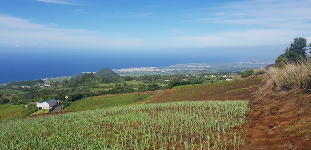 chemin des acacias Piton de Mont Vert