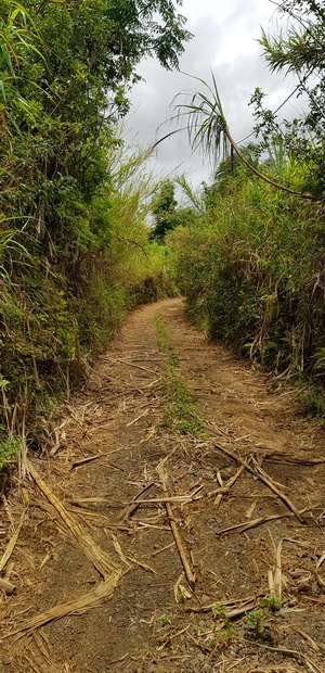 Chemin Malbrouck