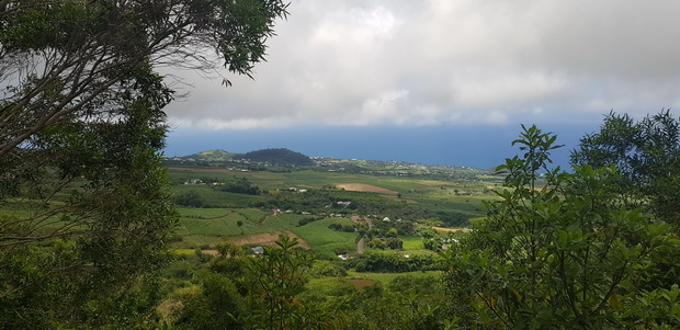 Piton du Calvaire et le Piton Rosile en arrière plan