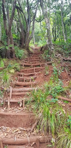 Piton de Mont Vert