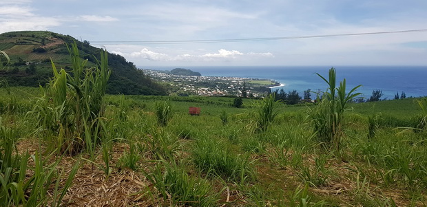 Baie de Manapany Grand Cap