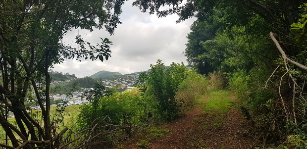 du sommet du Piton Rosile Petite-île