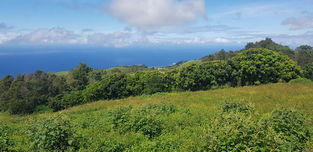 de l'autre coté de la ravine du Pont le piton de Many