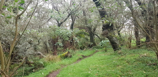 Piste VTT Nez de Boeuf Piton Guichard