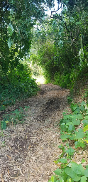 ravine du Pont