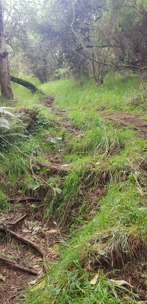 Piste VTT Nez de Boeuf Piton Guichard