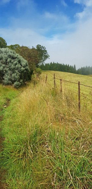 Piste VTT Nez de Boeuf Piton Guichard