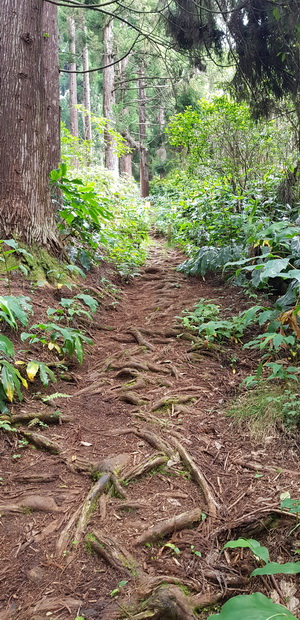 sentier Françoise Francia