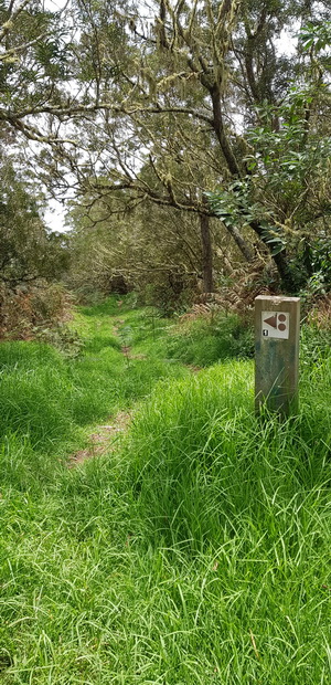 sentier Louis Emile piste VTT n° 1