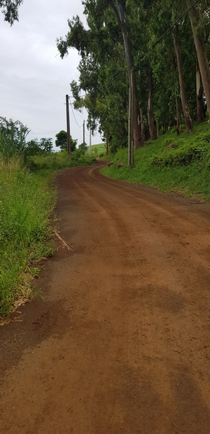 Chemin Quatre Sous