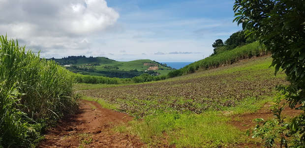 chemin Rosile