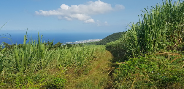 Du sommet du Piton Isautier ville de St Pierre