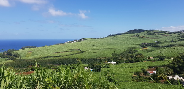 Piton Rosile du sommet Piton de Manapany