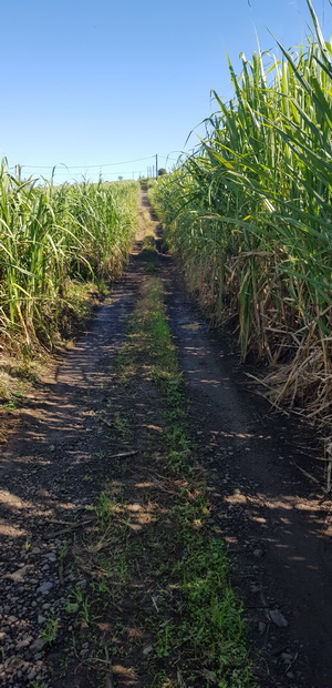 Chemin Canal