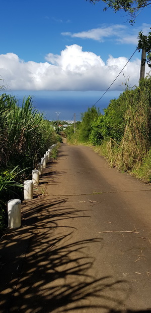 Chemin des Alouettes