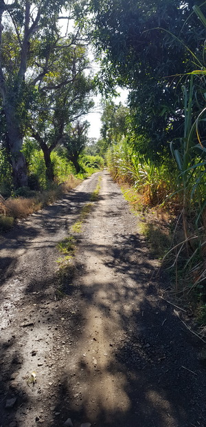 Chemin Mon Repos