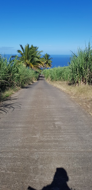 Chemin Choppy