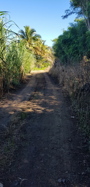 Chemin des Faisans