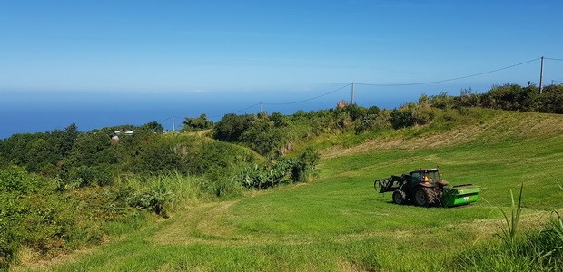 Chemin de l'Avenir