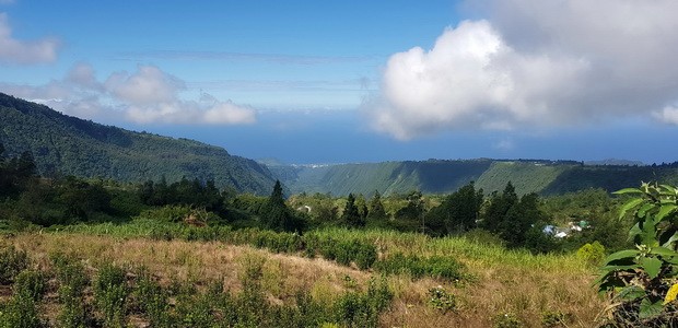 Chemin des Géraniums