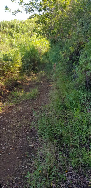 Chemin de l'Avenir