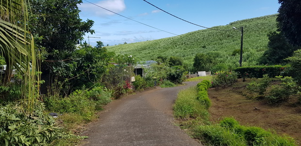 Chemin des Huppes