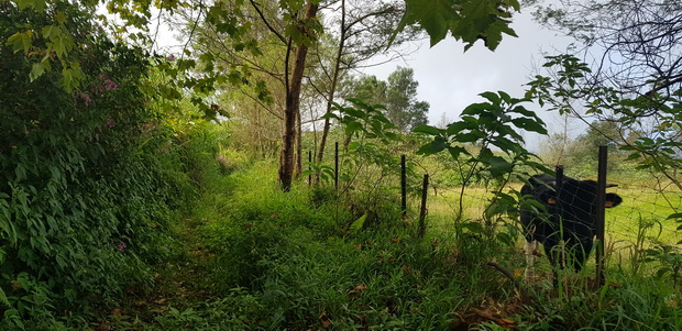 Chemin de la Croizure