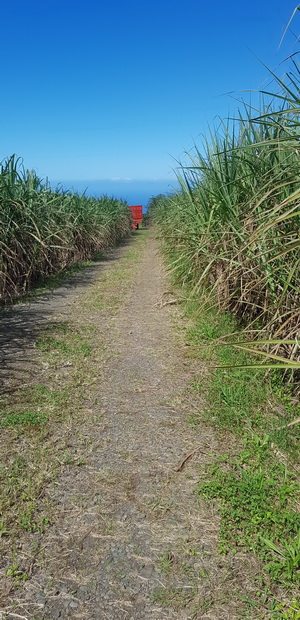 chemin des Longoses