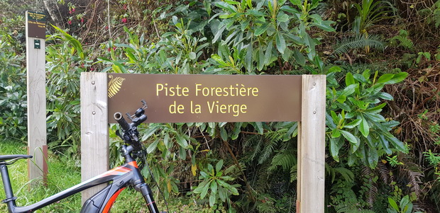 Route forestière de la Vierge