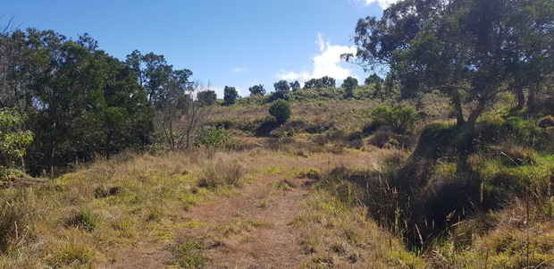 Sentier des Tamarins