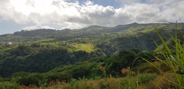 Chemin Alambic, Piton la Boue, Piton Mare à Boue, Piton la Découverte