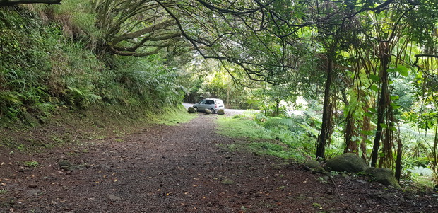 Forêt de Ravenales